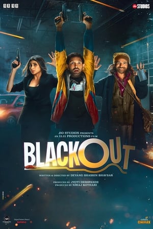 Blackout 2024 BRRIp