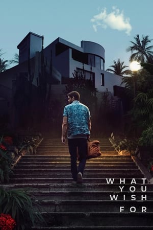 What You Wish For 2023 HDRip