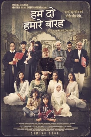 Hamare Baarah 2024 Hindi (Cleaned)