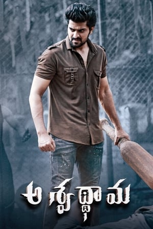 Aswathama 2020 Hindi Dubbed