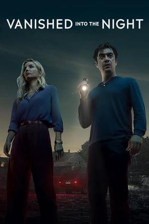 Vanished into the Night 2024 HDRip