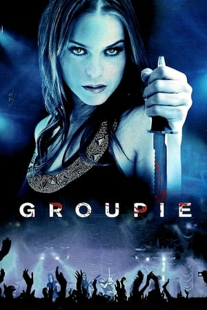 Groupie 2010 Dual Audio