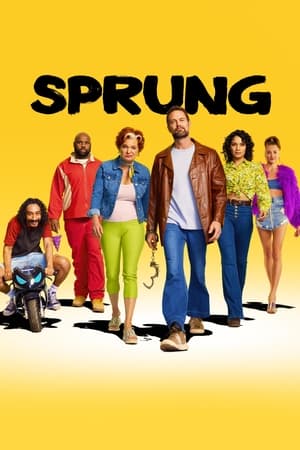 Sprung S01 2022 Hindi