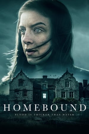 Homebound 2021 BRRIp