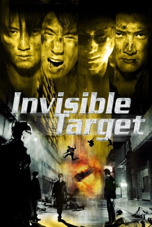 Invisible Target 2007 Dual Audio