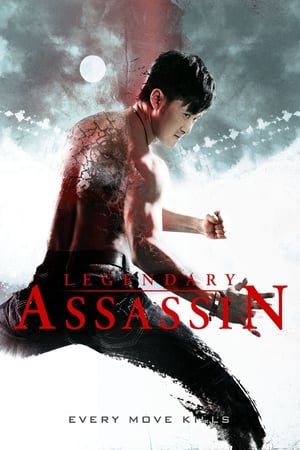 Legendary Assassin 2008 Dual Audio