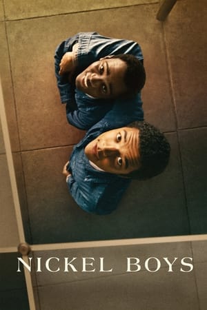 Nickel Boys 2024 Dual Audio