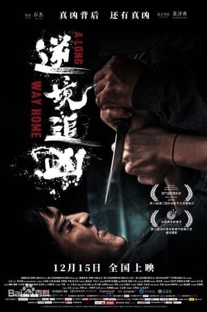 Ni Jing Zhui Xiong 2023 Dual Audio Hindi