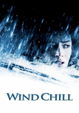 Wind Chill 2007 Dual Audio Hindi