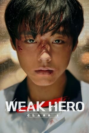 Weak Hero S01 2025 Dual Audio