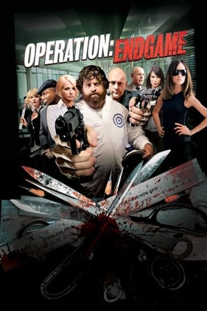 Operation: Endgame 2010 Dual Audio Hindi
