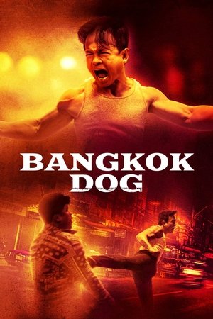 Bangkok Dog 2024 HDRip