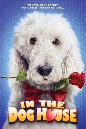 In the Dog House 2014 Dual Audio