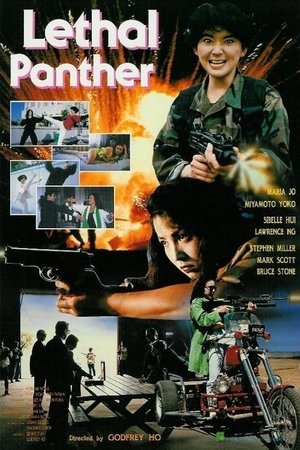 Lethal Panther 1990 Dual Audio Hindi