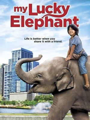 My Lucky Elephant 2013 Dual Audio