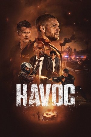 Havoc 2025 Dual Audio