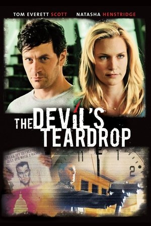The Devil's Teardrop 2010 Dual Audio Hindi