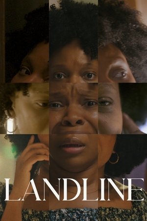 Landline 2025 HDRip