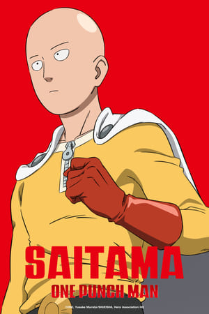 One Punch Man S01 2015 Hindi Japanese