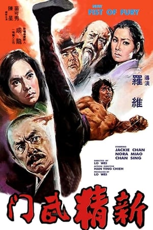 New Fist of Fury 1976 Dual Audio