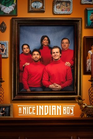 A Nice Indian Boy 2025 HDRip