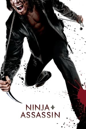 Ninja Assassin 2009 Dual Audio