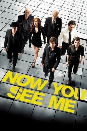 Now You See Me 2013 Dual Audio