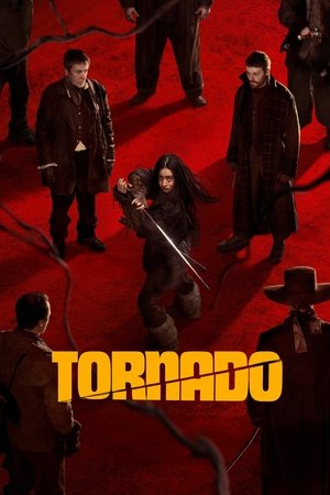 Tornado 2025 HDTS