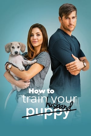 How to Train Your Husband 2018 Dual Audio