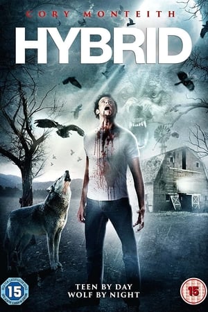 Hybrid 2007 Dual Audio