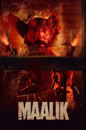 Maalik 2025 Hindi (Cleaned) HDTS