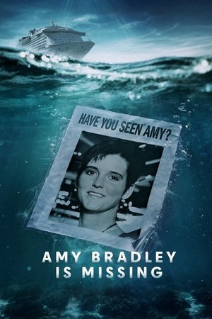 Amy Bradley Is Missing S01 2025 Dual Audio