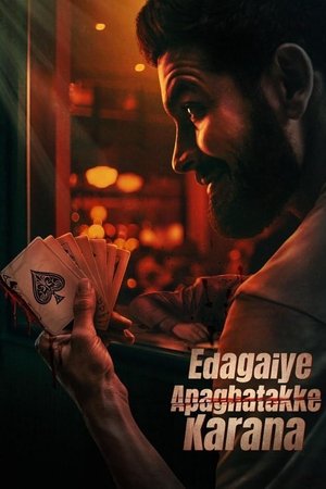 Edagaiye Apaghatakke Karana 2025 AMZN Hindi