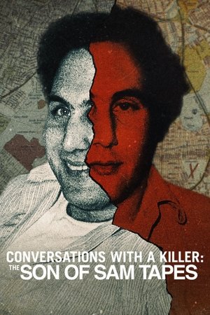 Conversations with a Killer: The Son of Sam Tapes S01 2025 Dual Audio NF