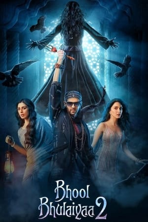 Bhool Bhulaiyaa 2 2022 BRRIp