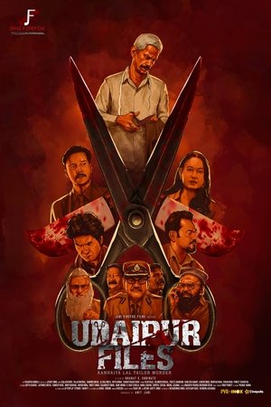 Udaipur Files: A Tailor's Murder Story 2025 Hindi (Cleaned) HDTC
