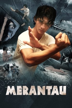 Merantau 2009 Dual Audio Hindi