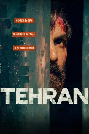 Tehran 2025 Hindi