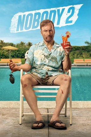 Nobody 2 2025 HDRip