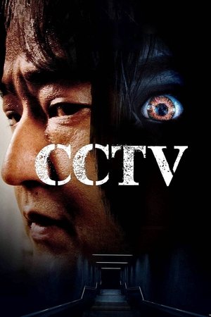 CCTV 2021 HDRip Dual