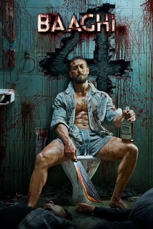 Baaghi 4 2025 AMZN Hindi