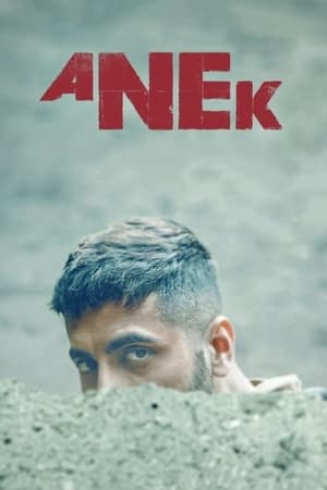 Anek 2022 BRRIP