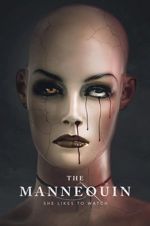 The Mannequin 2025 HDRip