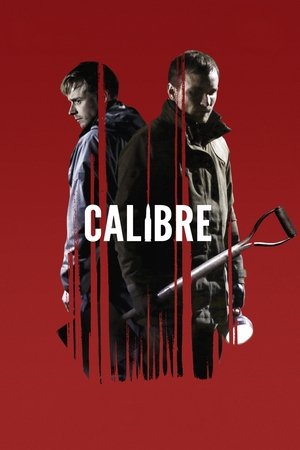 Calibre 2018 HDRip English