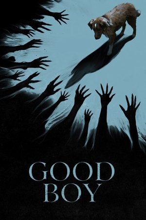 Good Boy 2025 HDRip