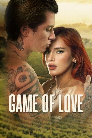 Game of Love 2022 AMZN Dual Audio Hindi