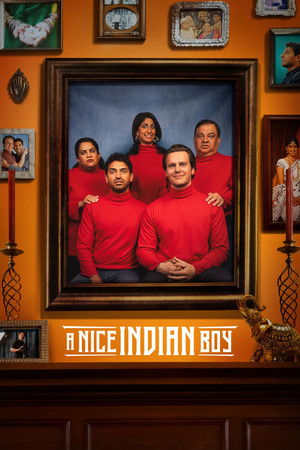 A Nice Indian Boy 2025 AMZN Dual Audio Hindi