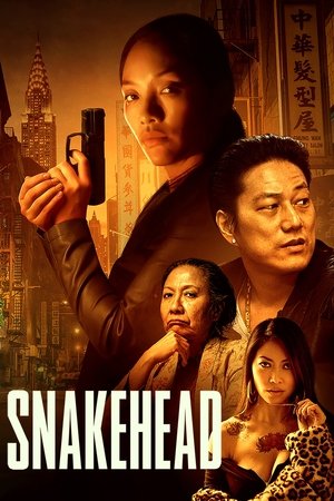 Snakehead 2021 AMZN Dual Audio Hindi