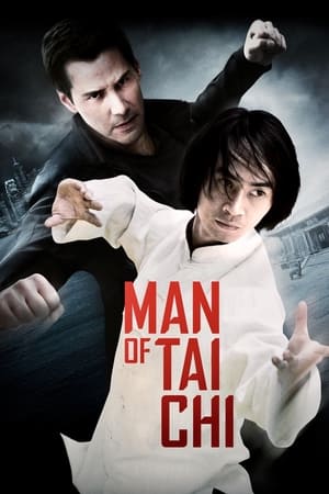 Man of Tai Chi 2013 Dual Audio