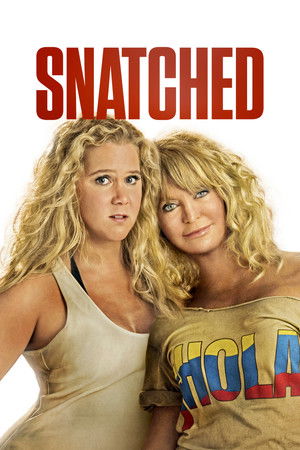 Snatched 2017 Dual Audio
